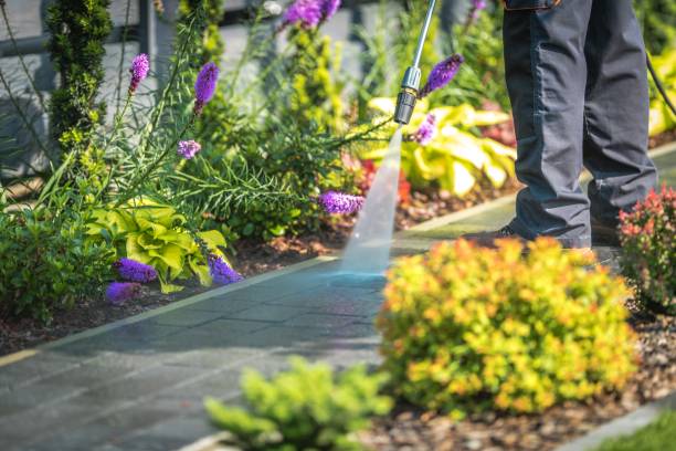 Trusted Waterloo, IA Pressure Washing Services Experts